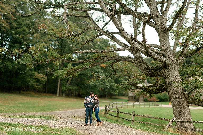 26 barn rustic engagement brenizer method(pp w768 h513) - Ashley + Jimmy | Hartwood Acres Engagement Photos