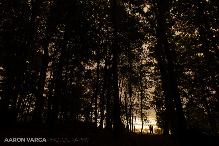 28 hartwood acres sunset(pp w768 h512) - Ashley + Jimmy | Hartwood Acres Engagement Photos