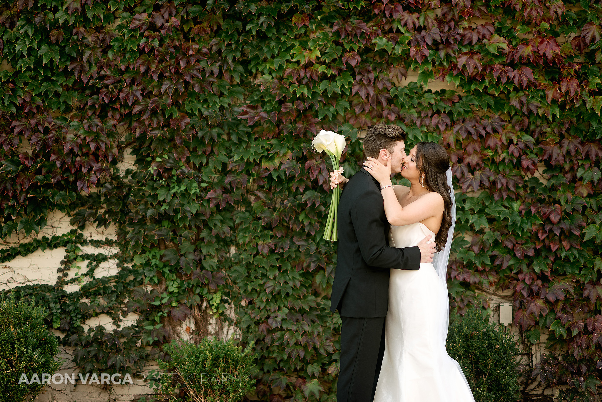 AVP FrandWedding Web 234 - Alexis + Jaron | J. Verno Studios Wedding Photos