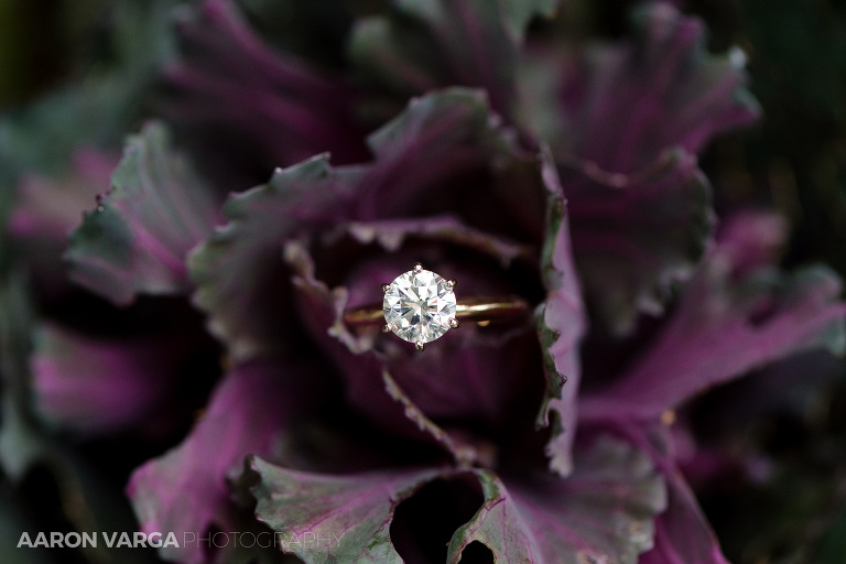 06 engagement ring fall wedding(pp w768 h512) - Anna + Andrew | Holy Trinity Greek Orthodox Church Wedding Photos
