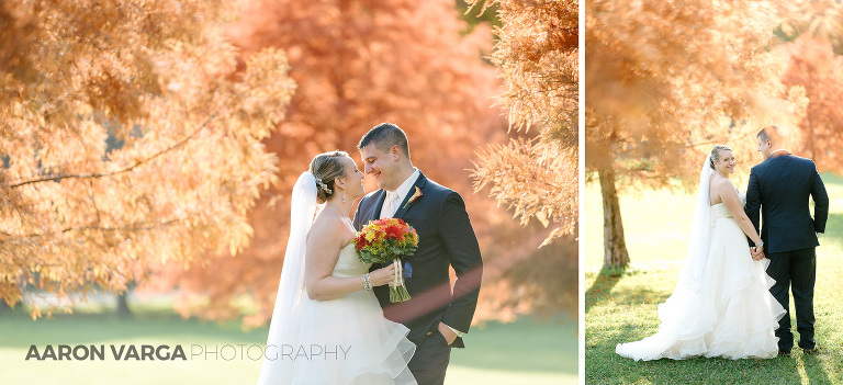 26 fall trees north park(pp w768 h351) - Amanda + Adam | Holy Trinity Greek Orthodox Church Wedding Photos