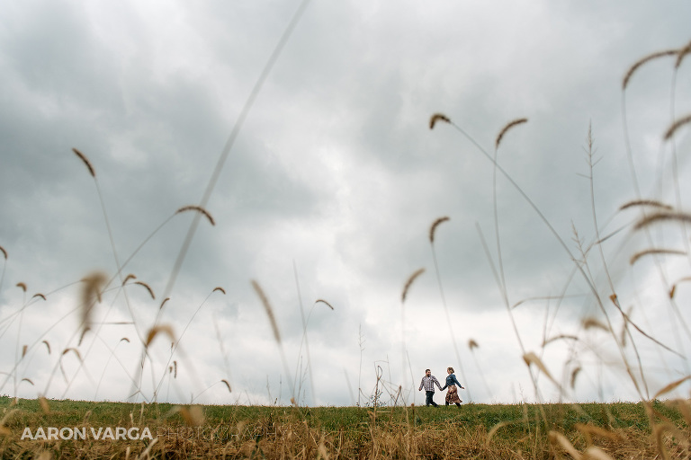 21 shady elms farm engagement(pp w768 h512) - 2018: Year in Review