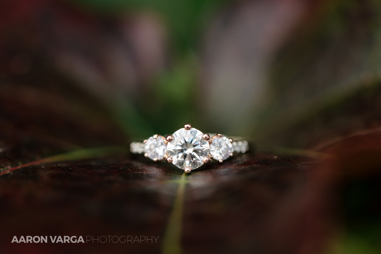 08 beautiful engagement ring(pp w768 h512) - Best of 2018: Rings