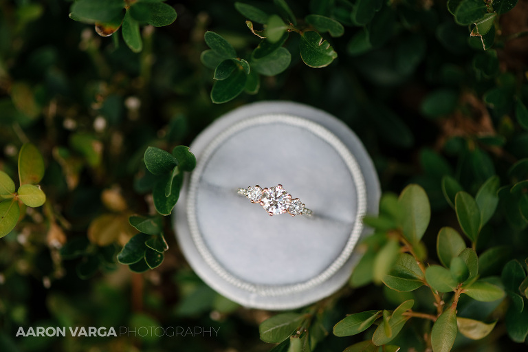 13 wedding ring box(pp w768 h512) - Best of 2018: Rings