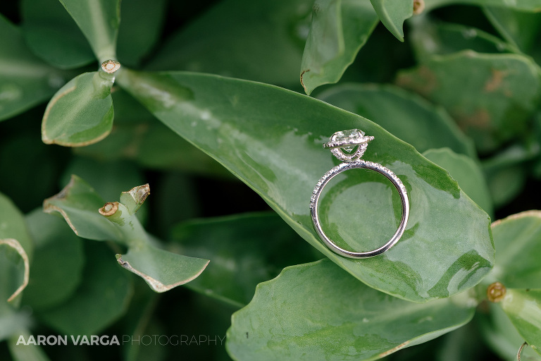 21 longue vue wedding rings(pp w768 h512) - Best of 2018: Rings