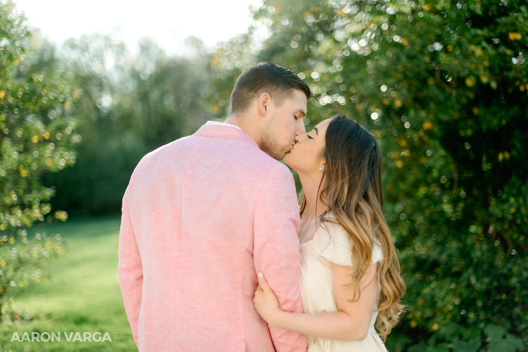 15 hartwood acres engagement dressy outfits(pp w768 h512) - Alexa + Jack | Hartwood Acres Engagement Photos