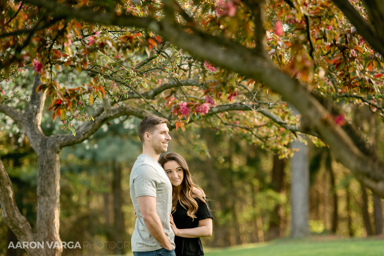20 spring engagement cherry blossom tree(pp w768 h512) - Alexa + Jack | Hartwood Acres Engagement Photos