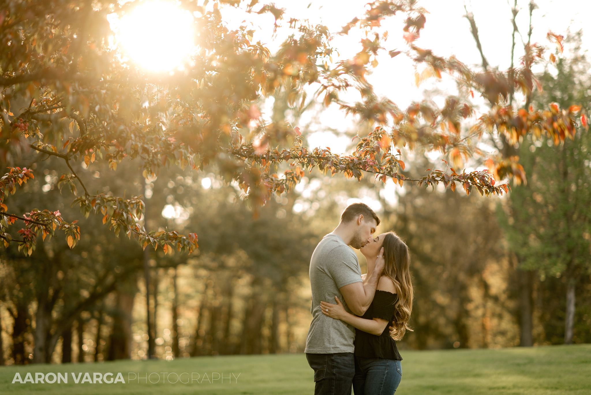 22 engagement session at hartwood acres - Alexa + Jack | Hartwood Acres Engagement Photos