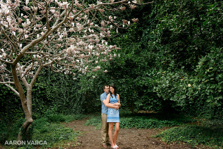 10 downtown pittsburgh magnolia tree(pp w768 h512) - Alexis + Luke | Downtown Pittsburgh and North Shore Engagement Photos