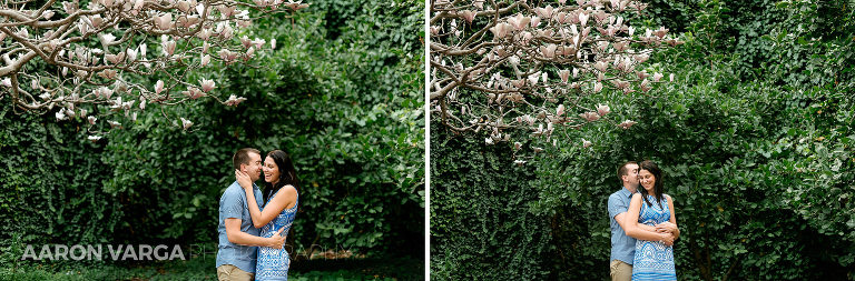 11 downtown pittsburgh magnolia tree engagement(pp w768 h253) - Alexis + Luke | Downtown Pittsburgh and North Shore Engagement Photos
