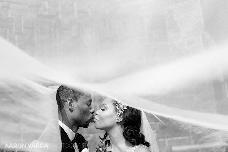 29 wedding photos under veil(pp w768 h512) - Alison + Steven | Heinz Hall and Rivers Club Wedding Photos