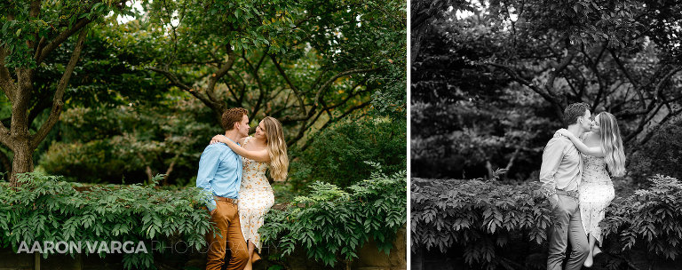 13 engagement photos at phipps(pp w768 h304) - Chelsey + Teddy | Schenley Park Engagement Photos