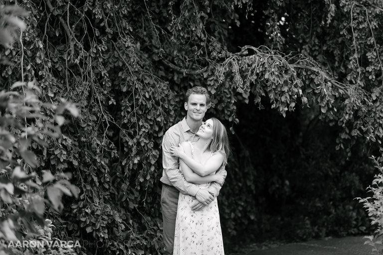 17 phipps conservatory engagement in fall(pp w768 h512) - Chelsey + Teddy | Schenley Park Engagement Photos