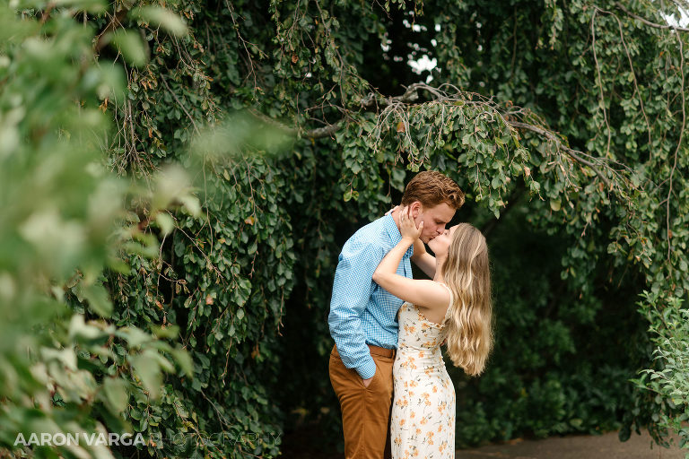 18 fall photos at phipps conservatory(pp w768 h512) - Chelsey + Teddy | Schenley Park Engagement Photos