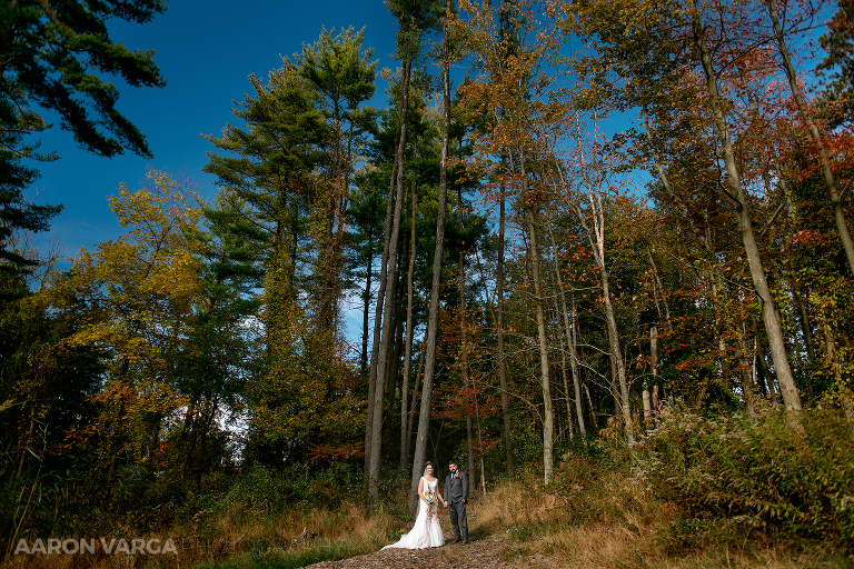 Moon Park Wedding(pp w768 h512) - Sneak Peek! Megan + Brian | The Fez Wedding Photos