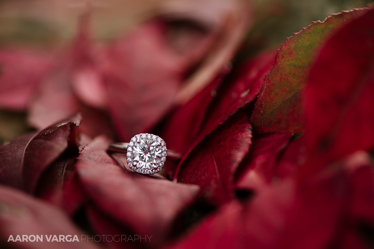 02 huge diamond engagement ring(pp w768 h512) - Liz + Josh | Chestnut Ridge Golf Resort Wedding Photos
