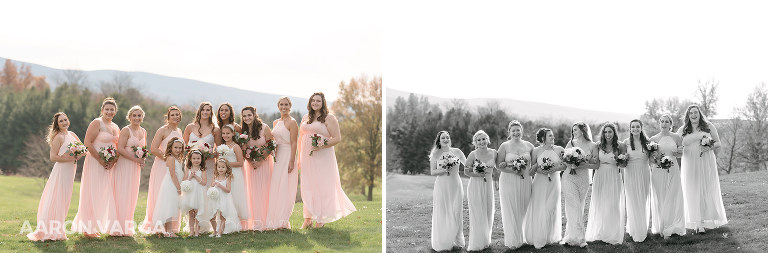 13 pink bridesmaid dresses(pp w768 h253) - Liz + Josh | Chestnut Ridge Golf Resort Wedding Photos