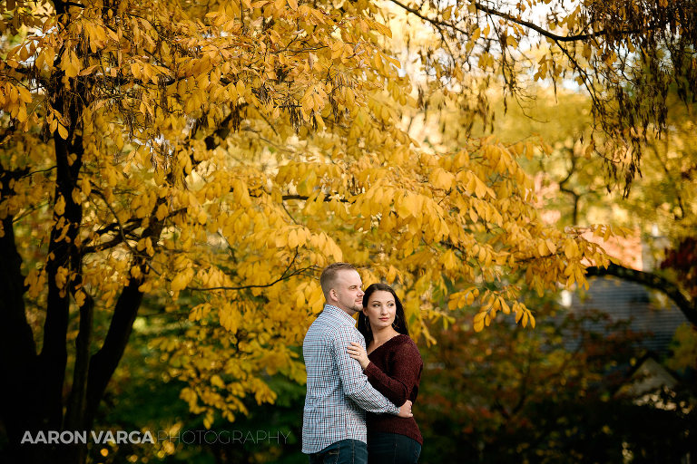 16 mellon park engagement fall(pp w768 h512) - 2019: Year in Review