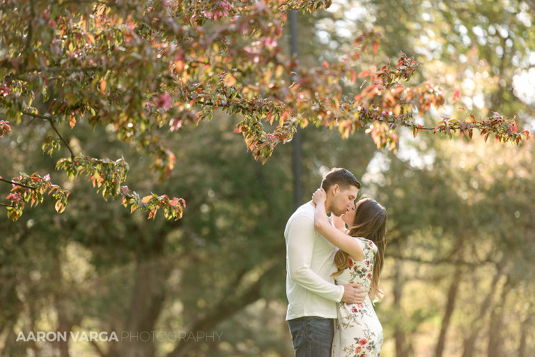 59 spring sunset engagement hartwood acres(pp w768 h512) - 2019: Year in Review