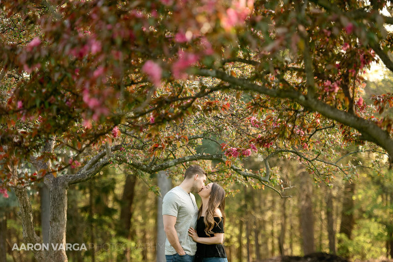 72 spring engagement session hartwood acres(pp w768 h512) - 2019: Year in Review