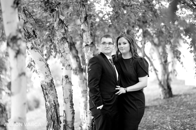 38 engagement photos north shore(pp w768 h512) - Sarah + Patrick | Mellon Park and North Shore Engagement Photos