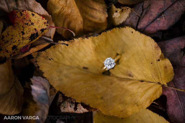 02 cook forest engagement ring(pp w768 h512) - Morgan + Greg | Cook Forest State Park Elopement Photos