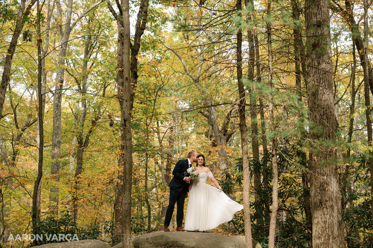 23 cook forest state park fall(pp w768 h512) - Morgan + Greg | Cook Forest State Park Elopement Photos
