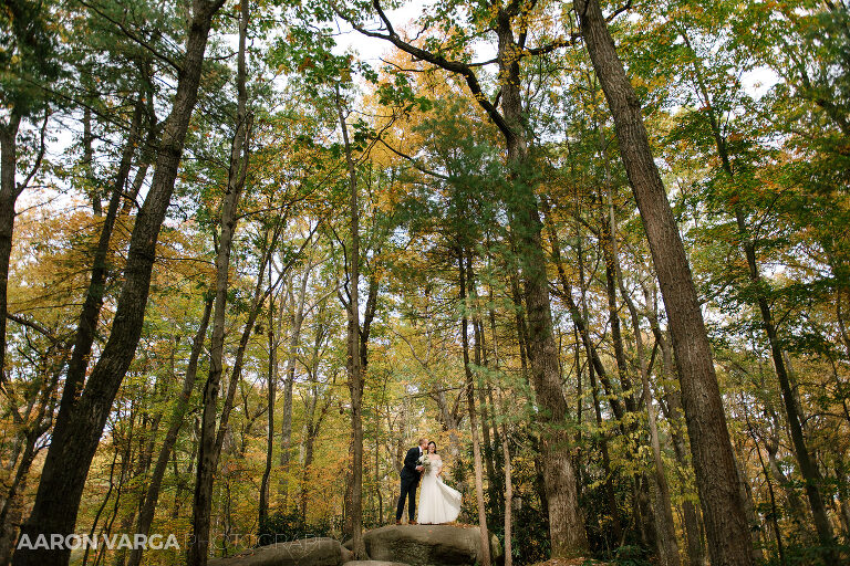 24 fall wedding photos cook forest state park(pp w768 h512) - Morgan + Greg | Cook Forest State Park Elopement Photos