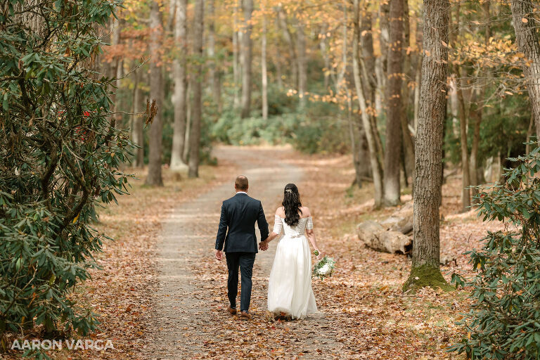 25 fall elopement photos cook forest(pp w768 h512) - Morgan + Greg | Cook Forest State Park Elopement Photos