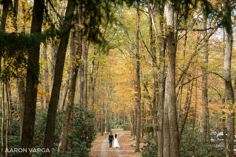 26 cook forest fire tower wedding(pp w768 h512) - Morgan + Greg | Cook Forest State Park Elopement Photos