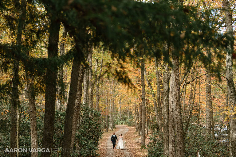 28 cook forest wedding photos amazing(pp w768 h512) - Morgan + Greg | Cook Forest State Park Elopement Photos
