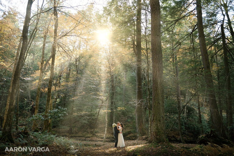 33 incredible wedding photo sun rays(pp w768 h512) - Morgan + Greg | Cook Forest State Park Elopement Photos