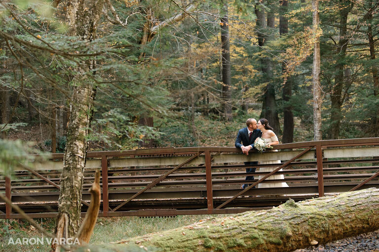 35 cook forest bridge wedding photo(pp w768 h512) - Morgan + Greg | Cook Forest State Park Elopement Photos