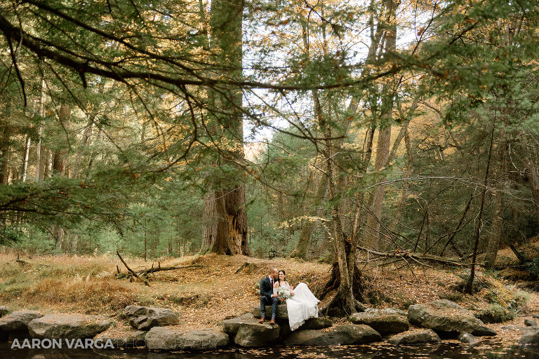 37 cook forest fairytale elopement(pp w768 h512) - Morgan + Greg | Cook Forest State Park Elopement Photos