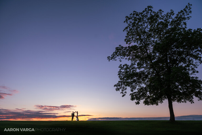 45 sunset photos at longue vue club(pp w768 h511) - Alexis + Luke | Longue Vue Club Wedding Photos