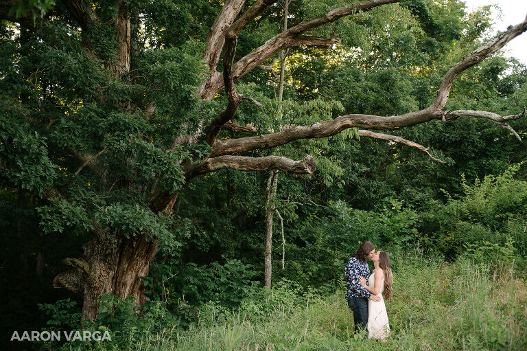 01 family farm engagement photos(pp w768 h511) - Noelle + Mark | Family Farm Engagement Photos