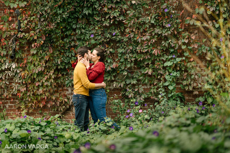 20 ivy wall mexican war streets photo(pp w768 h511) - Anna + Josh | North Side & North Shore Engagement Photos