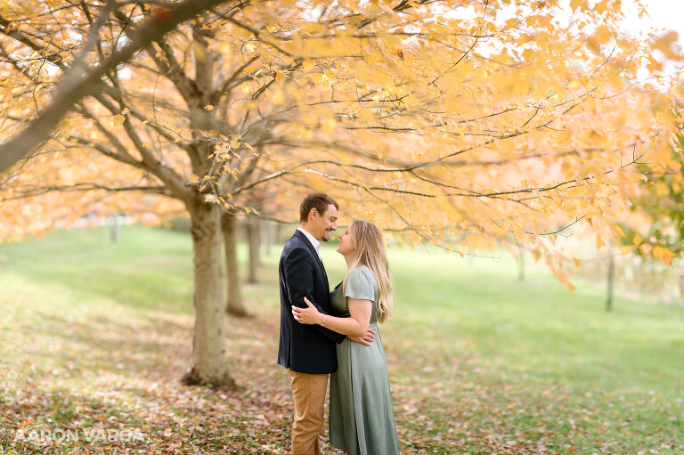 27 engagement photos under fall trees(pp w768 h511) - Janell + Kyle | Ohiopyle State Park Engagement Photos
