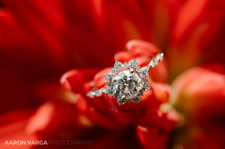 01 huge diamond engagement ring(pp w768 h511) - Hema + Nathan | Phipps Conservatory and J. Verno Studios