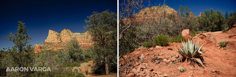 06 spring at bell rock pathway sedona(pp w768 h253) - Sedona, Arizona & the Grand Canyon