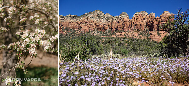 35 sugarloaf trail in spring sedona(pp w768 h351) - Sedona, Arizona & the Grand Canyon