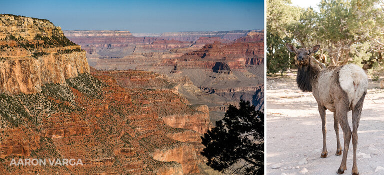 38 grand canyon photos(pp w768 h351) - Sedona, Arizona & the Grand Canyon