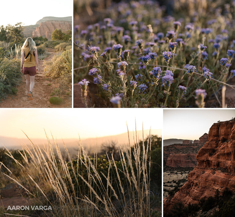 61 doe mountain sedona sunset details(pp w768 h708) - Sedona, Arizona & the Grand Canyon