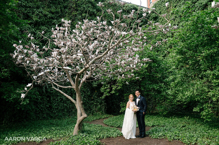 27 renaissance hotel wedding magnolia tree(pp w768 h511) - Katie + Angelo | Renaissance Pittsburgh Hotel Wedding Photos