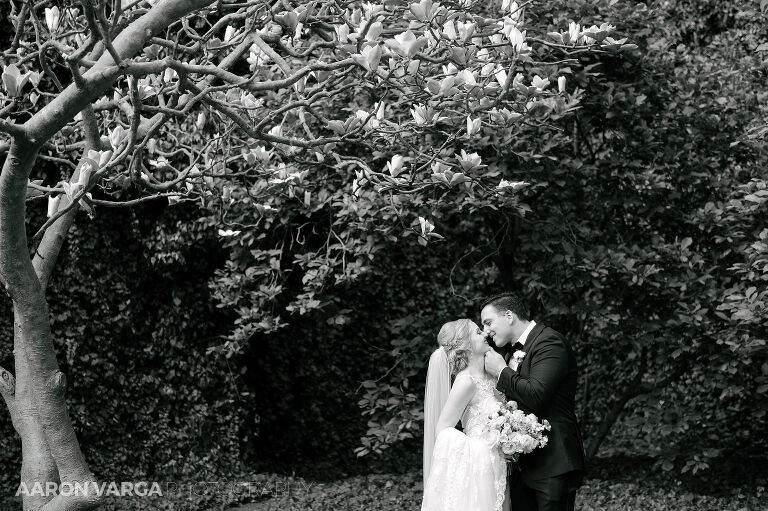 29 wedding photos downtown magnolia tree(pp w768 h511) - Katie + Angelo | Renaissance Pittsburgh Hotel Wedding Photos