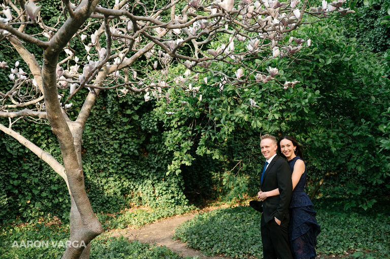 11 downtown pittsburgh magnolia tree(pp w768 h511) - Deanna | Downtown and Heinz Hall Engagement Photos