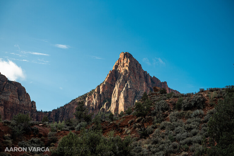 11 Zion National Park(pp w768 h512) - Zion National Park, UT