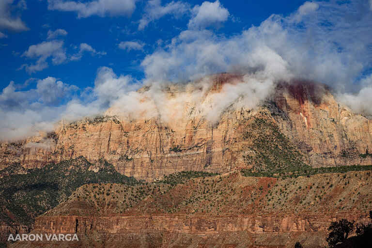 14 Zion National Park(pp w768 h512) - Zion National Park, UT