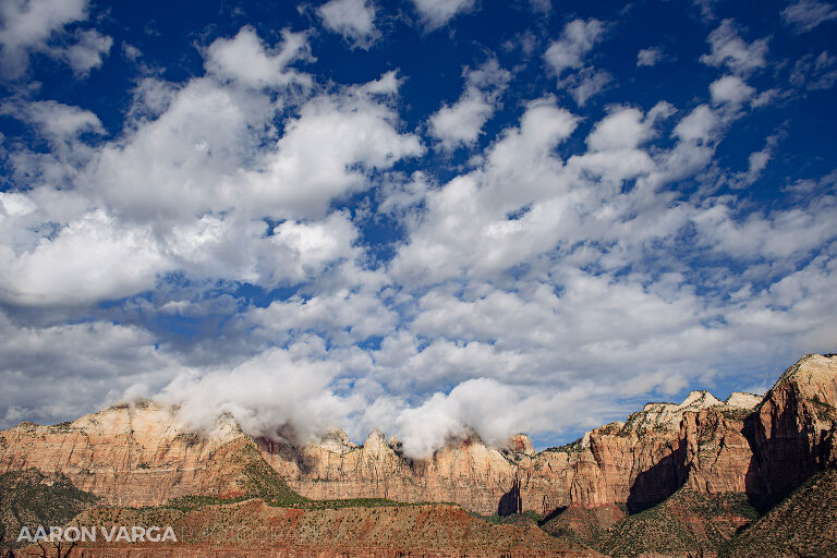 17 Zion National Park(pp w768 h512) - Zion National Park, UT