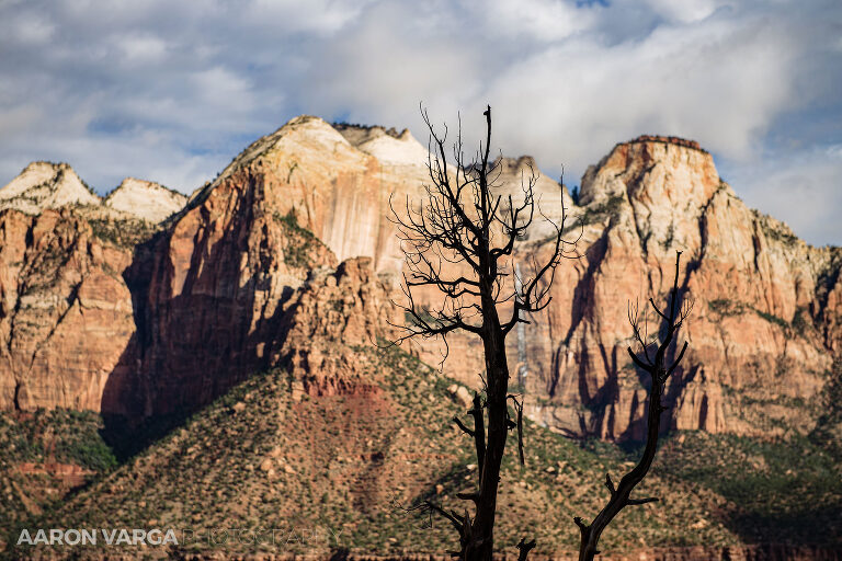 18 Zion National Park(pp w768 h512) - Zion National Park, UT